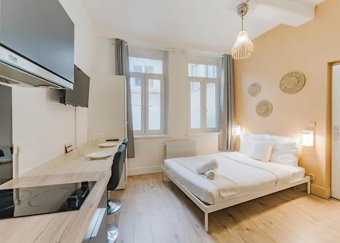 Centre - Nice, Cozy And Functional Апартаменты Лилль